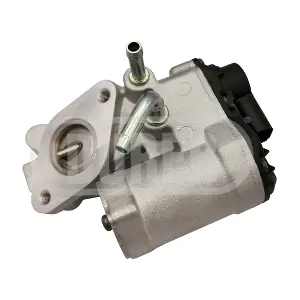 VR61175 DURER
