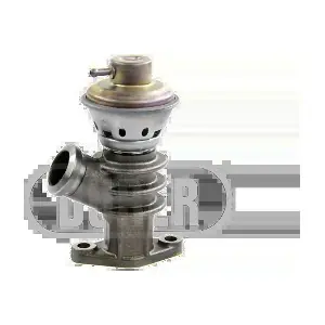 VR21163 DURER