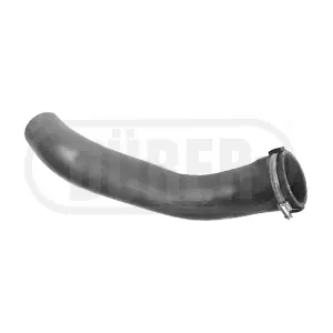 DT202Q1 DURER