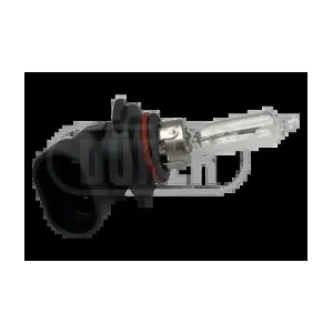 AMPHIR2 DURER