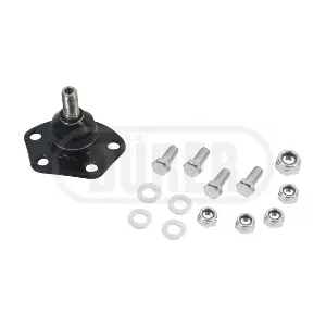 ROTSUS584 DURER