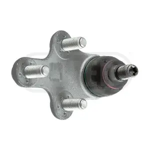 ROTSUS849 DURER