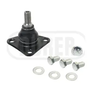 ROTSUS583 DURER