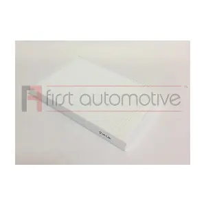 1A FIRST AUTOMOTIVE C30111