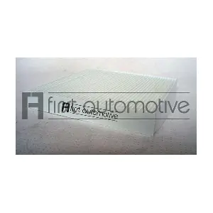 1A FIRST AUTOMOTIVE C30196