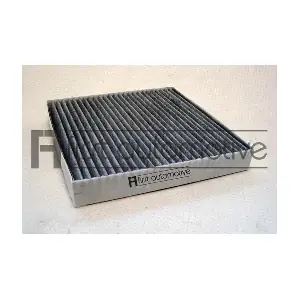 1A FIRST AUTOMOTIVE K30196