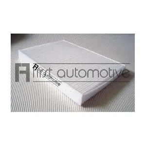 1A FIRST AUTOMOTIVE C30206