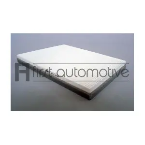 1A FIRST AUTOMOTIVE C30161