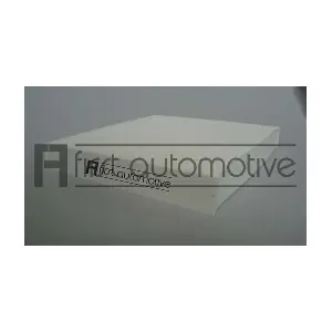 1A FIRST AUTOMOTIVE C30351
