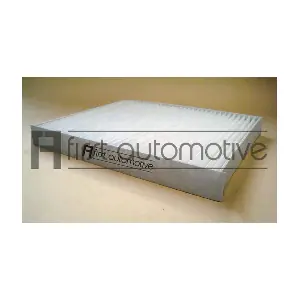 1A FIRST AUTOMOTIVE C30218
