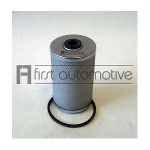1A FIRST AUTOMOTIVE D21010