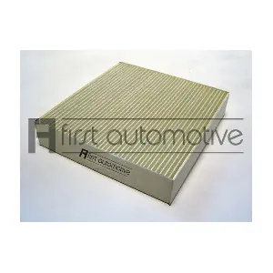 1A FIRST AUTOMOTIVE C30163
