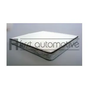 1A FIRST AUTOMOTIVE C30314