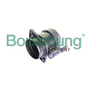 B11777 Borsehung