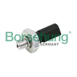 Borsehung B13138