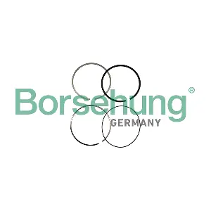 Borsehung B10361
