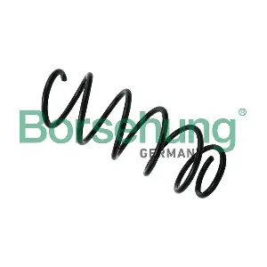 B12558 Borsehung