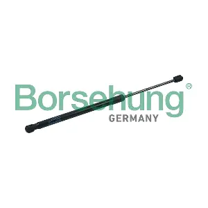 B18463 Borsehung