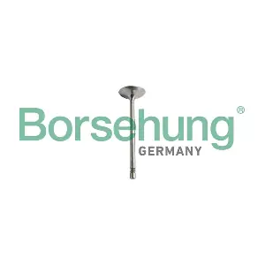 Borsehung B10351