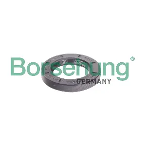 B12191 Borsehung