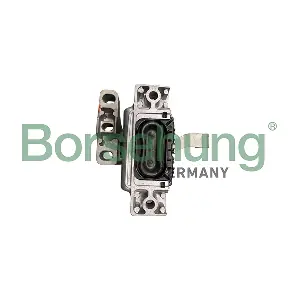 Borsehung B10988