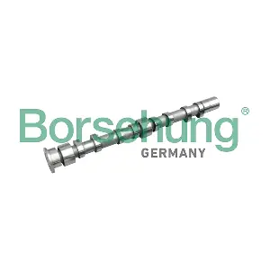 B11312 Borsehung