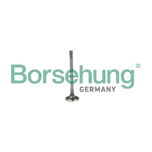 B19020 Borsehung
