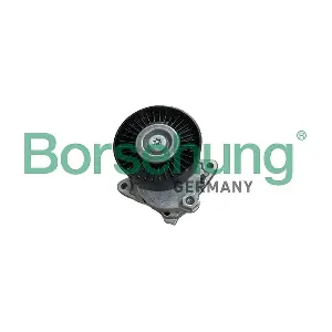 Borsehung B13087