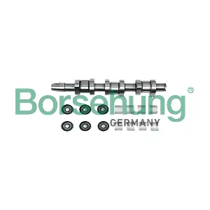 B18809 Borsehung