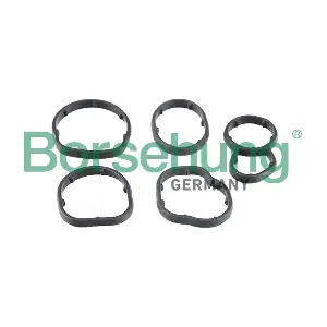 B12531 Borsehung