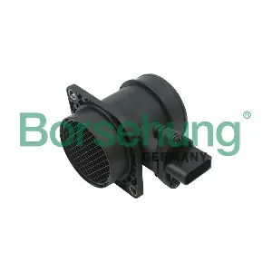 Borsehung B13665