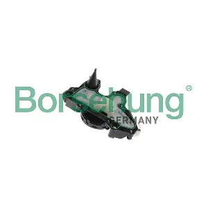 B11919 Borsehung