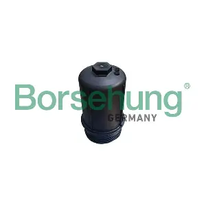 B12411 Borsehung