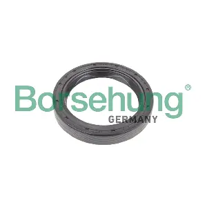 B17834 Borsehung