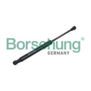 B18426 Borsehung