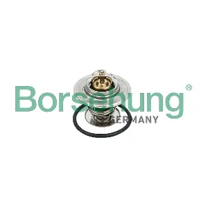 Borsehung B18281