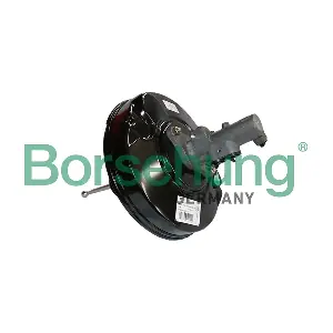 Borsehung B11385