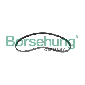 B12383 Borsehung