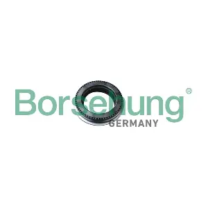 B18294 Borsehung