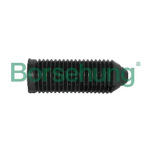 Borsehung B10152