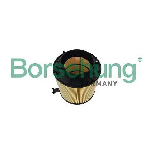 8K0133843 BORSEHUNG