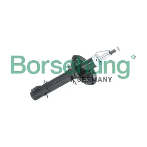 Borsehung B18687