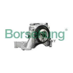 B18512 Borsehung