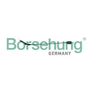 B12339 Borsehung