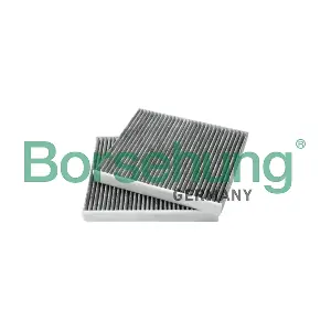 B12855 Borsehung