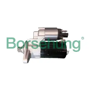 B12874 Borsehung