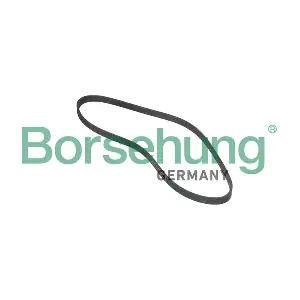 Borsehung B12381