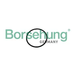 Borsehung B12926