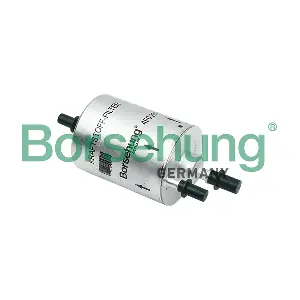 B12826 Borsehung