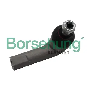 B18703 Borsehung